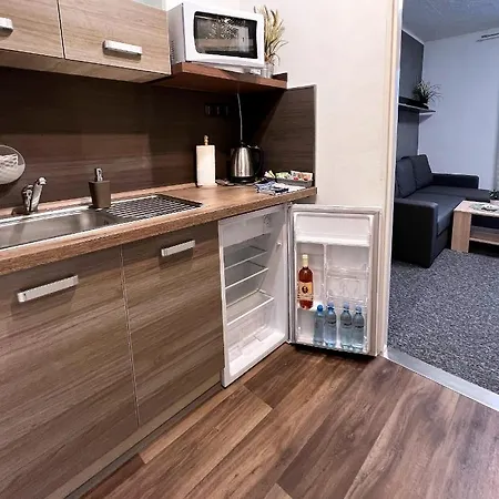 Apartmany Karlovy Vary Apartament Karlowe Wary